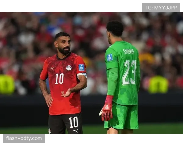 埃及3-1新西兰回顾：G组第二轮关键胜利